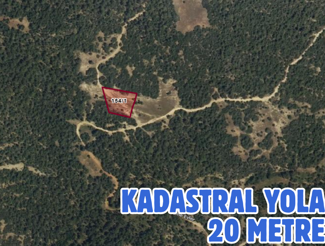 DENİZLİ BOZKURT HAYRETTİN 2.526 M² TARLAMIZ SATILIKTIR - DENİZLİ BOZKURT fotoğraf 3